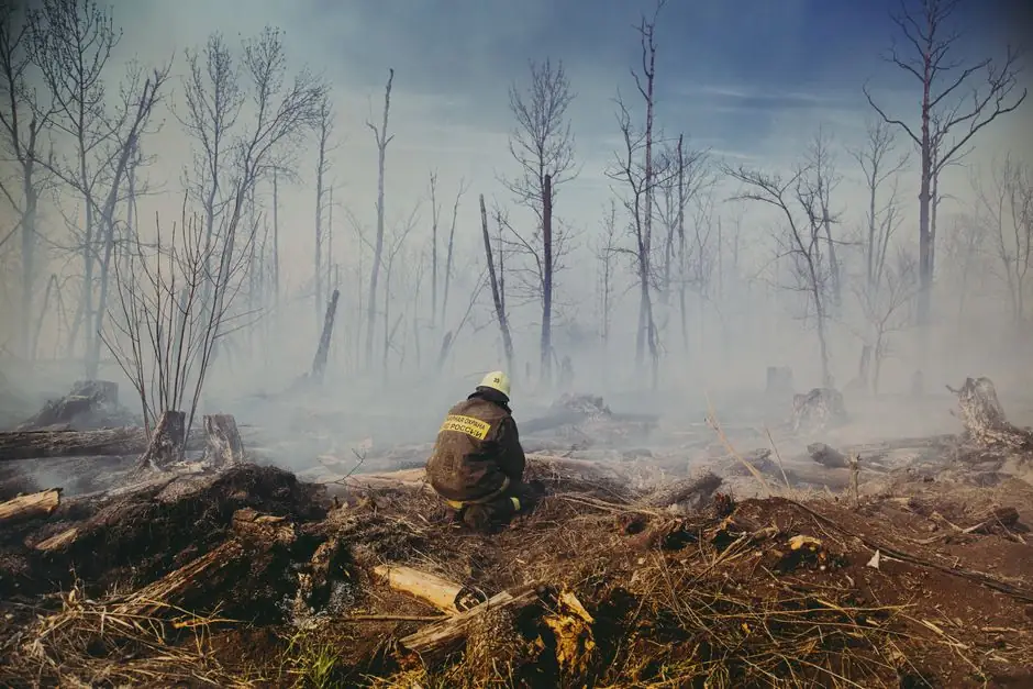 Plant City Fire & Smoke Restoration — Fire Damage Restoration you can rely on
